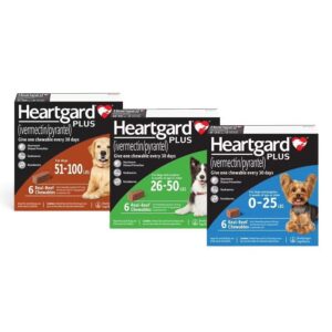 How to Get Over the Counter Heartworm Medicine for Dogs: 5 Trusted ...
