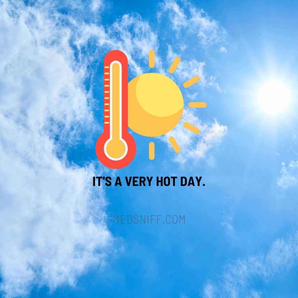 Heat Exhaustion vs. Heat Stroke: Essential Differences, Risks, and Prevention Strategies